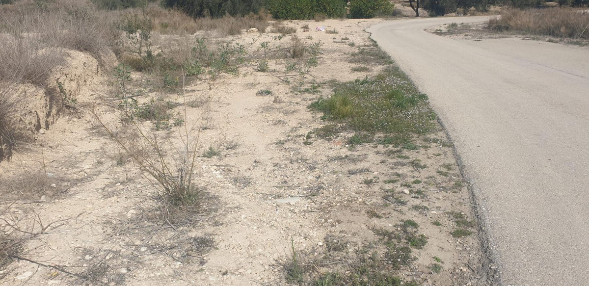 Property main view 11