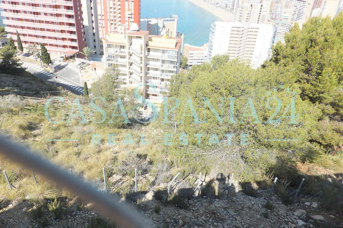 Property main view 2