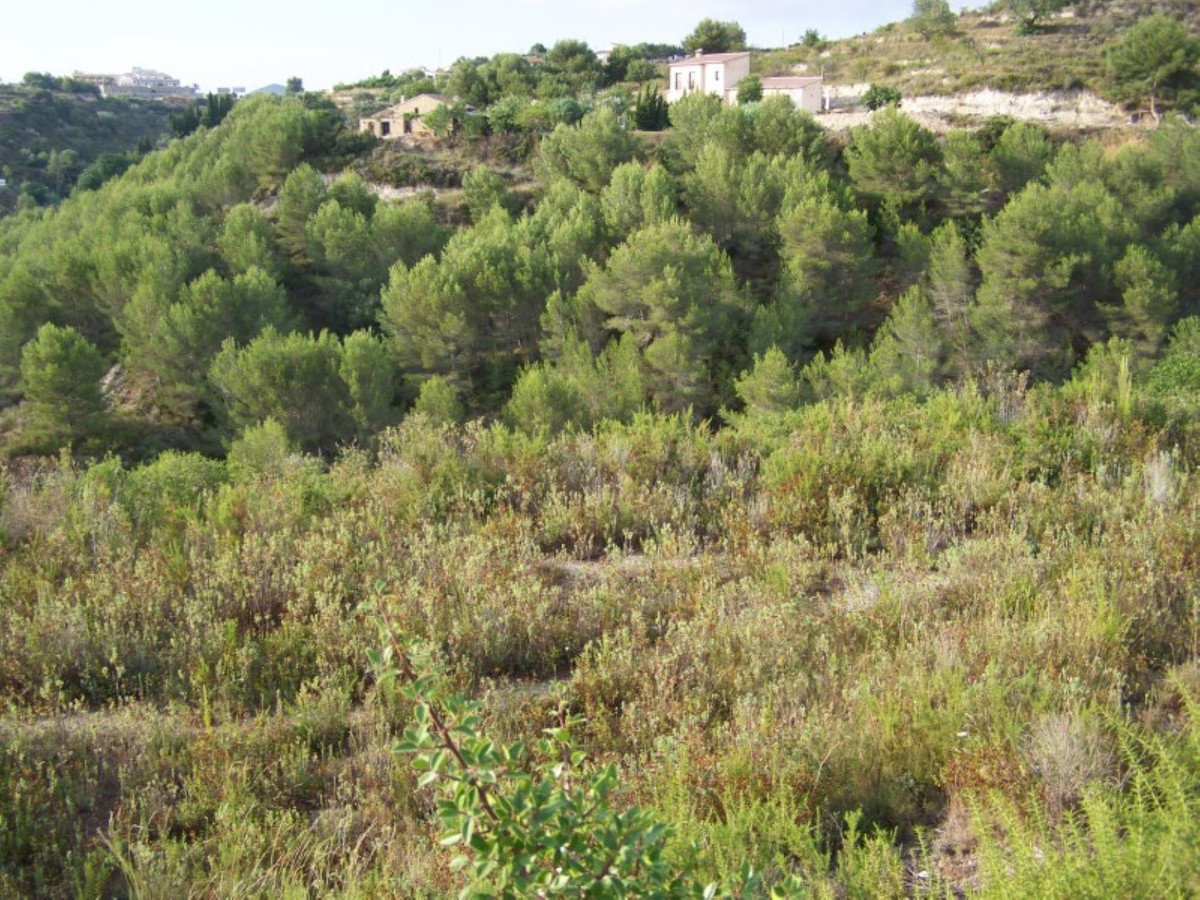 Property main view 2