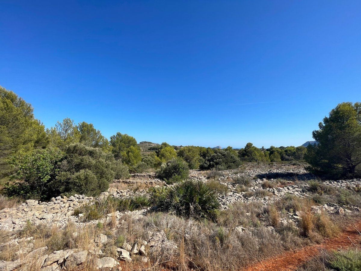 Property main view 10