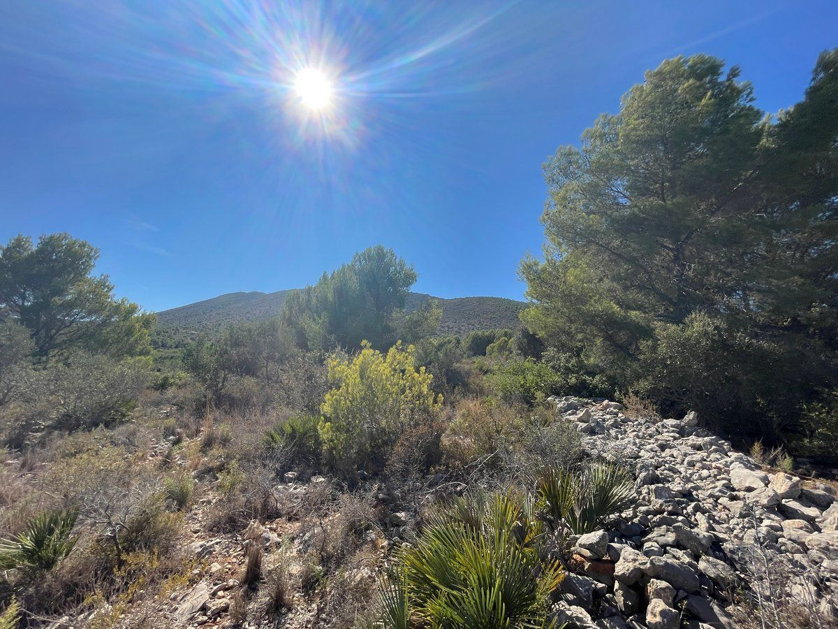 Property main view 14