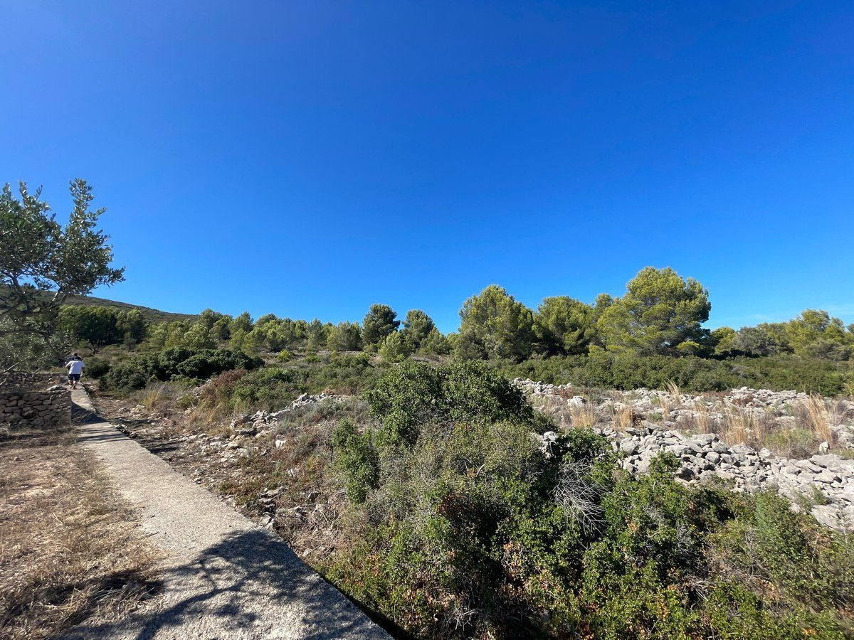 Property main view 15