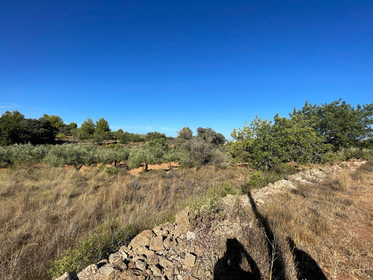 Property main view 29