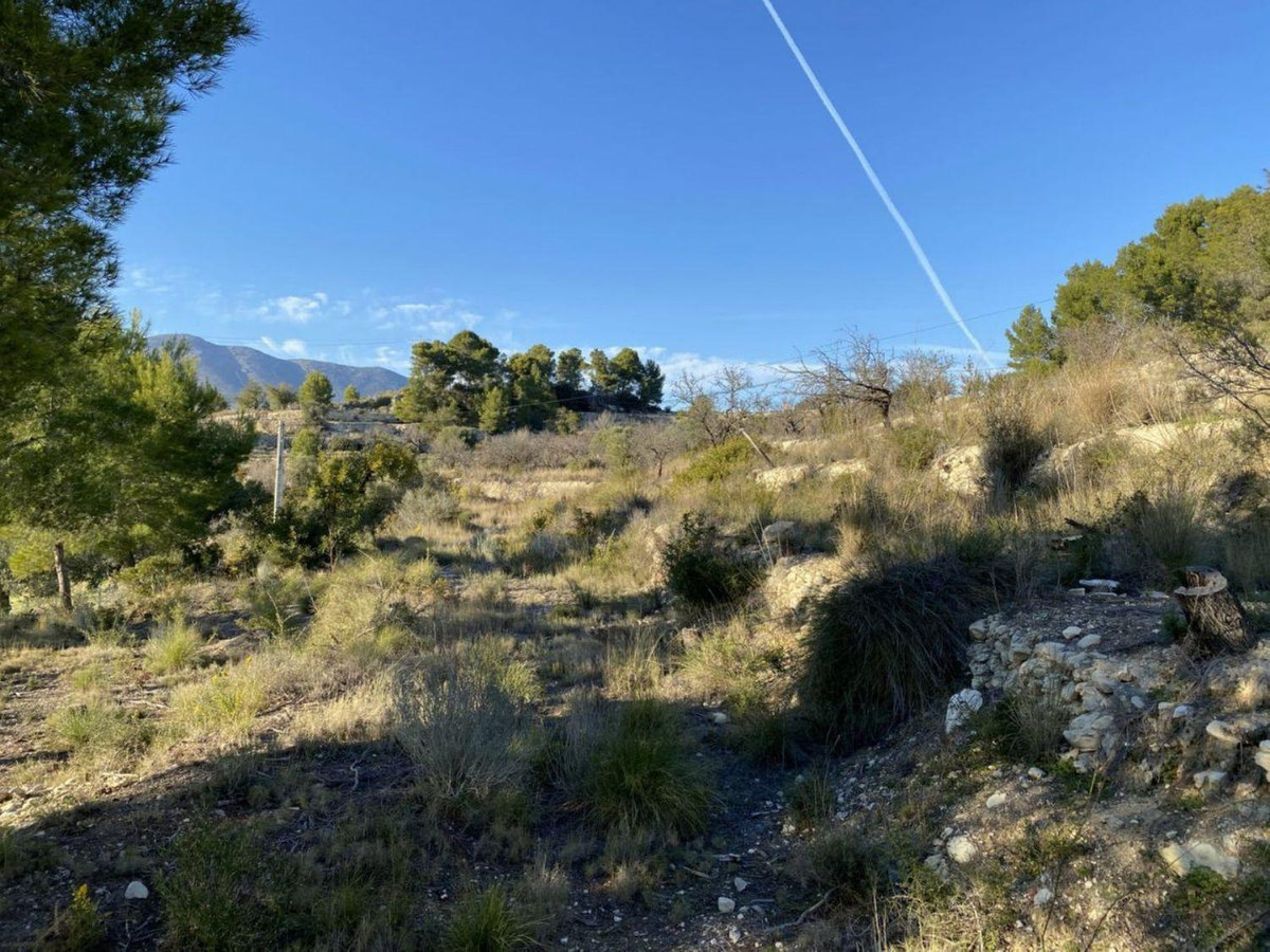 Property main view 2