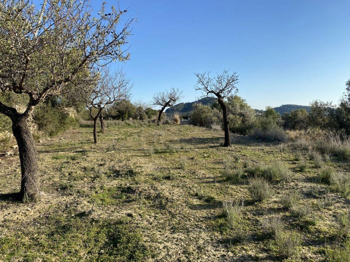 Property main view 5