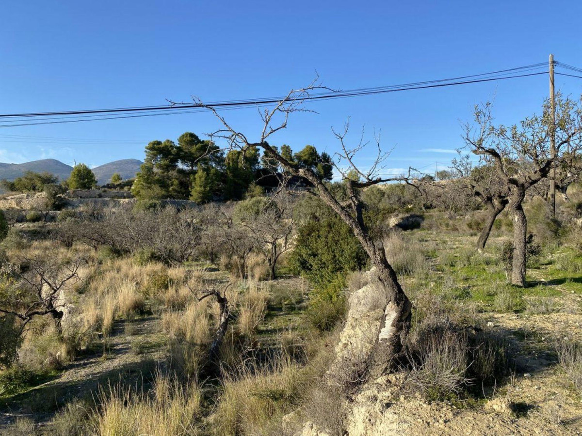 Property main view 7