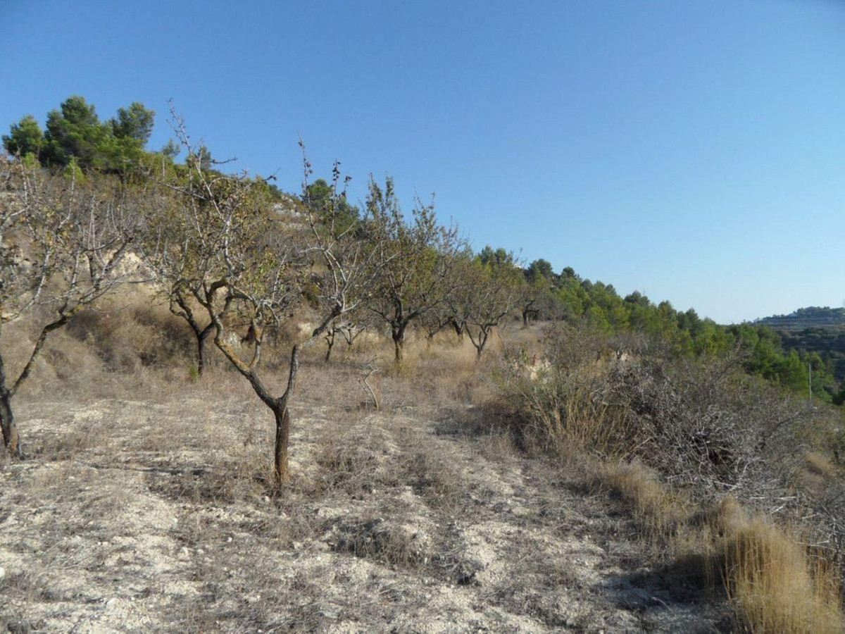 Property main view 13