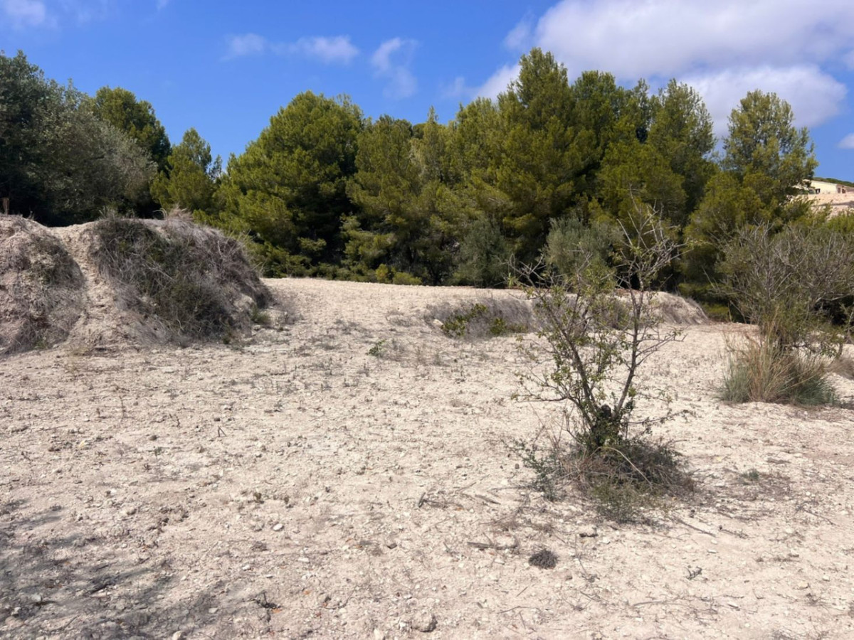 Property main view 11