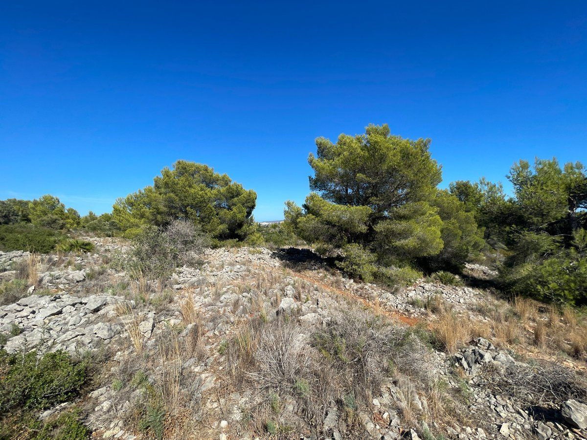 Property main view 16