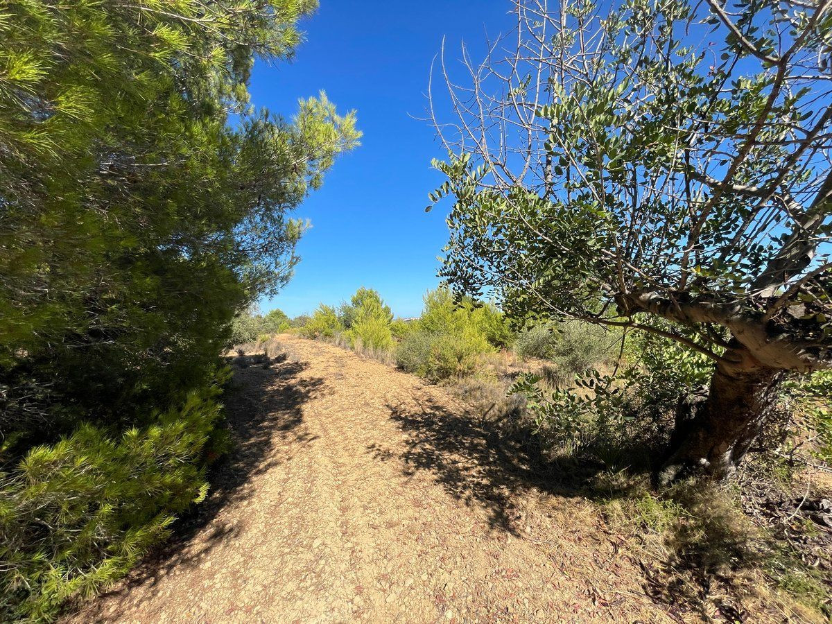 Property main view 21