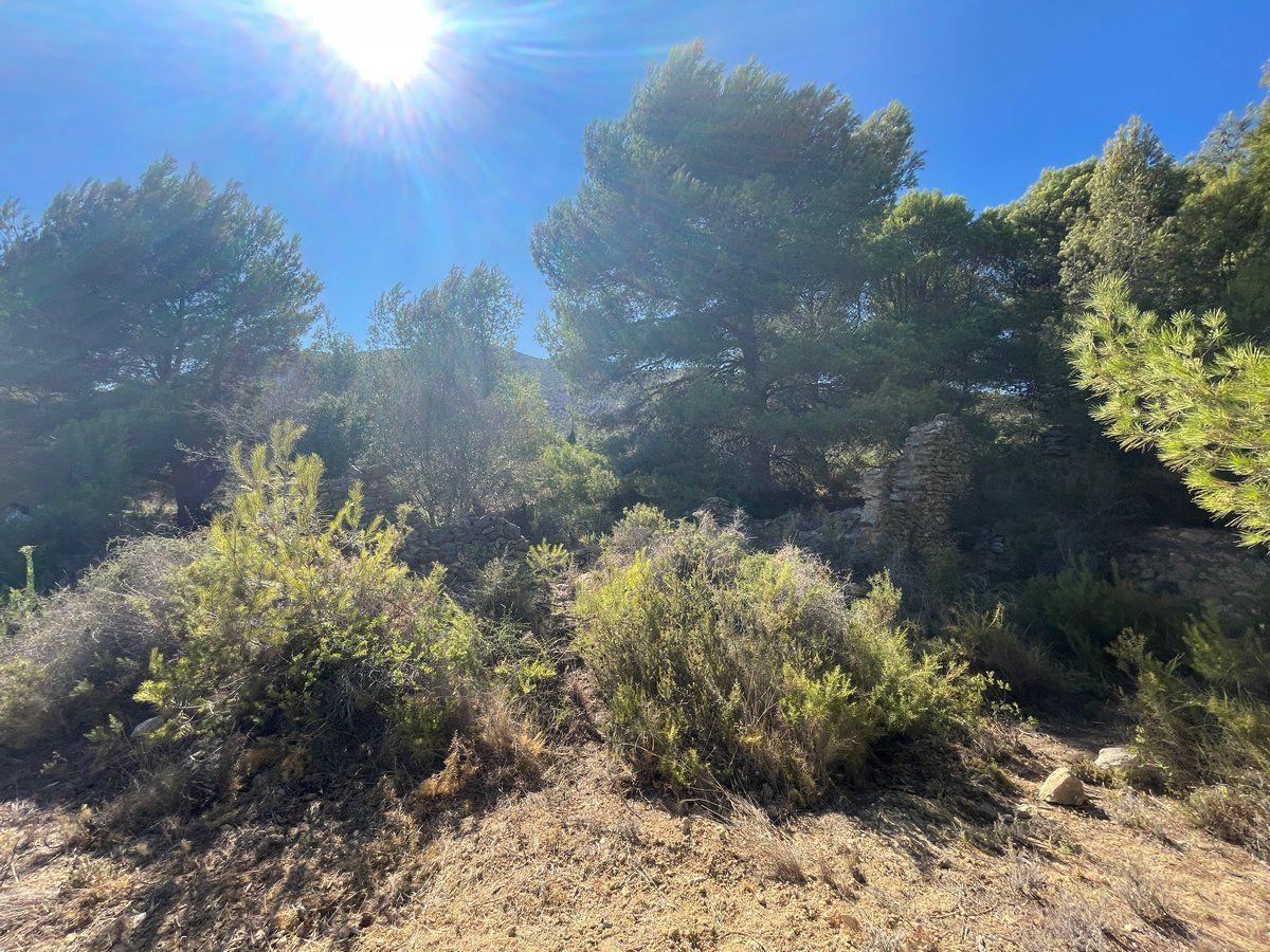 Property main view 22