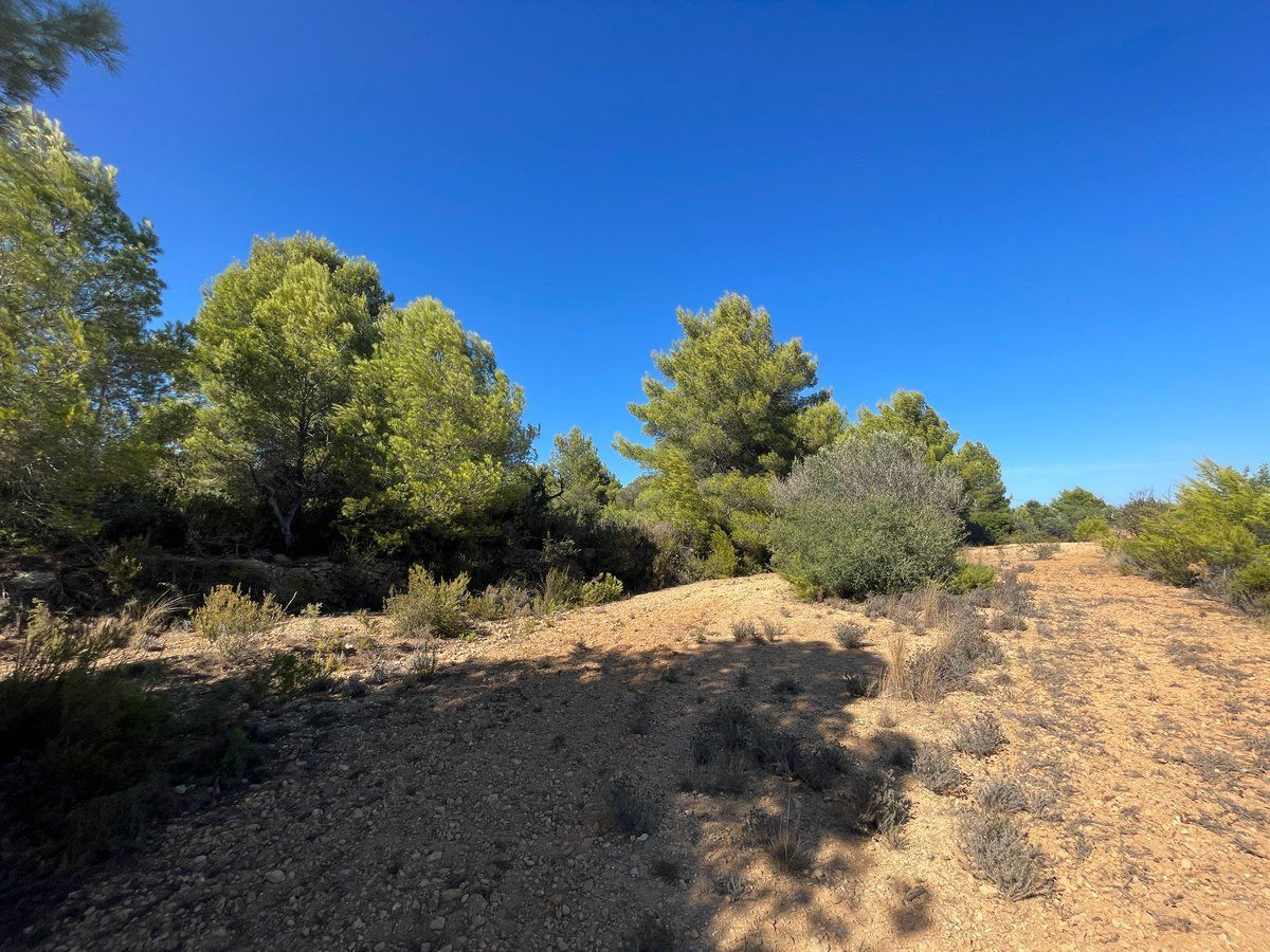 Property main view 24