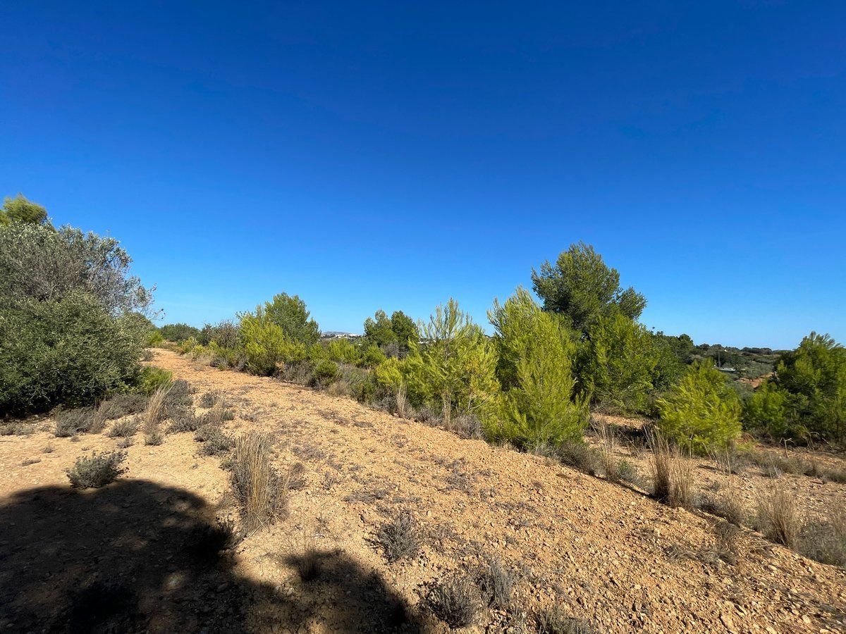 Property main view 25