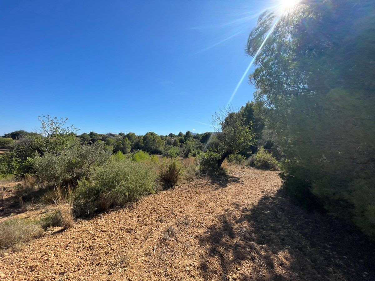 Property main view 27