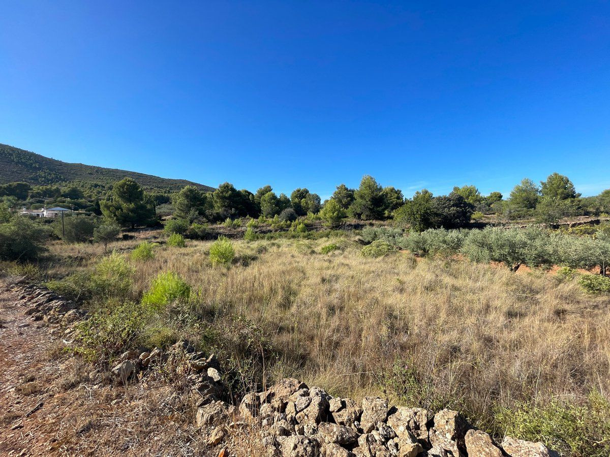 Property main view 28