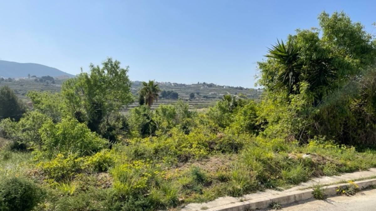 Property main view 2