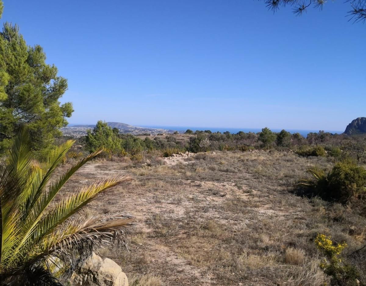 Property main view 13