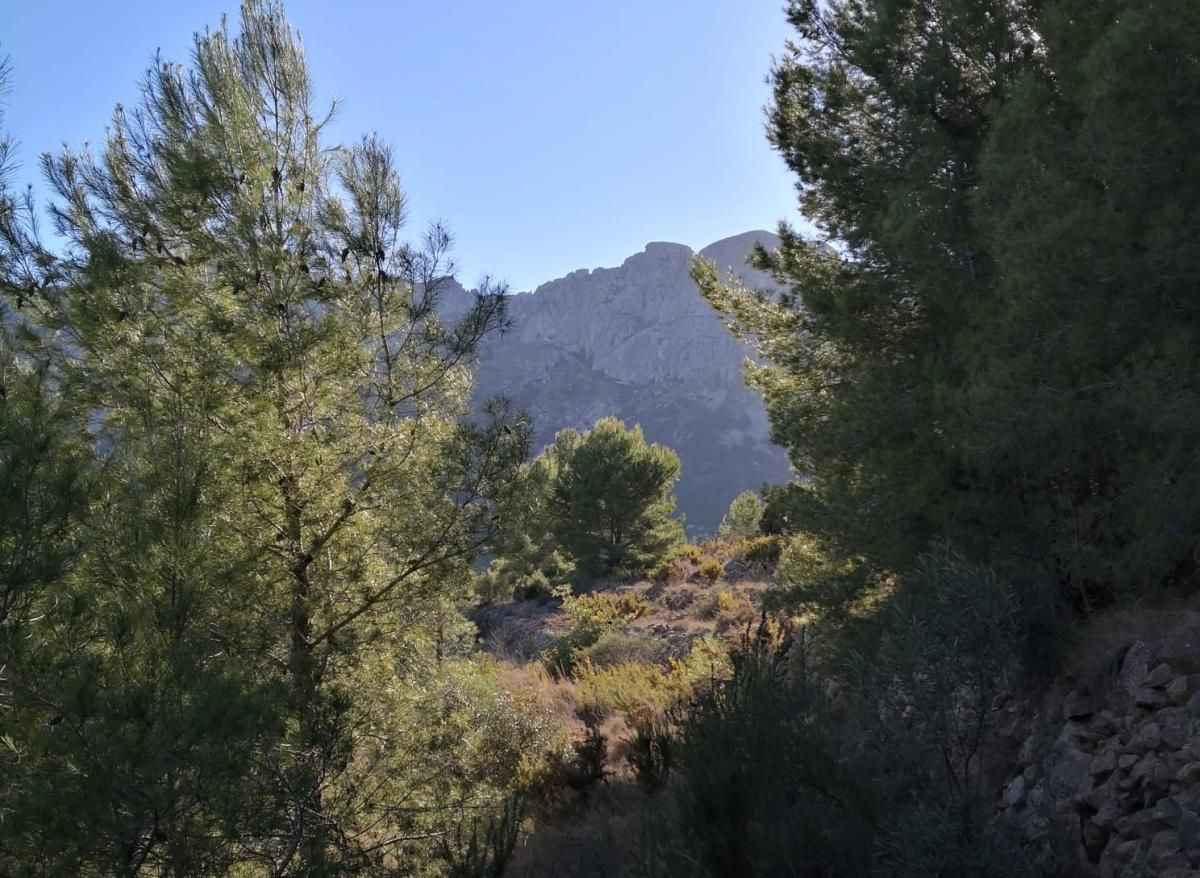 Property main view 16