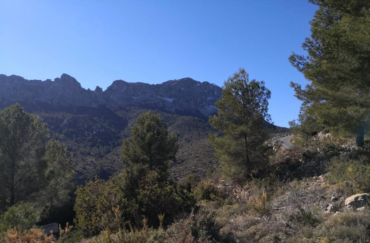 Property main view 2