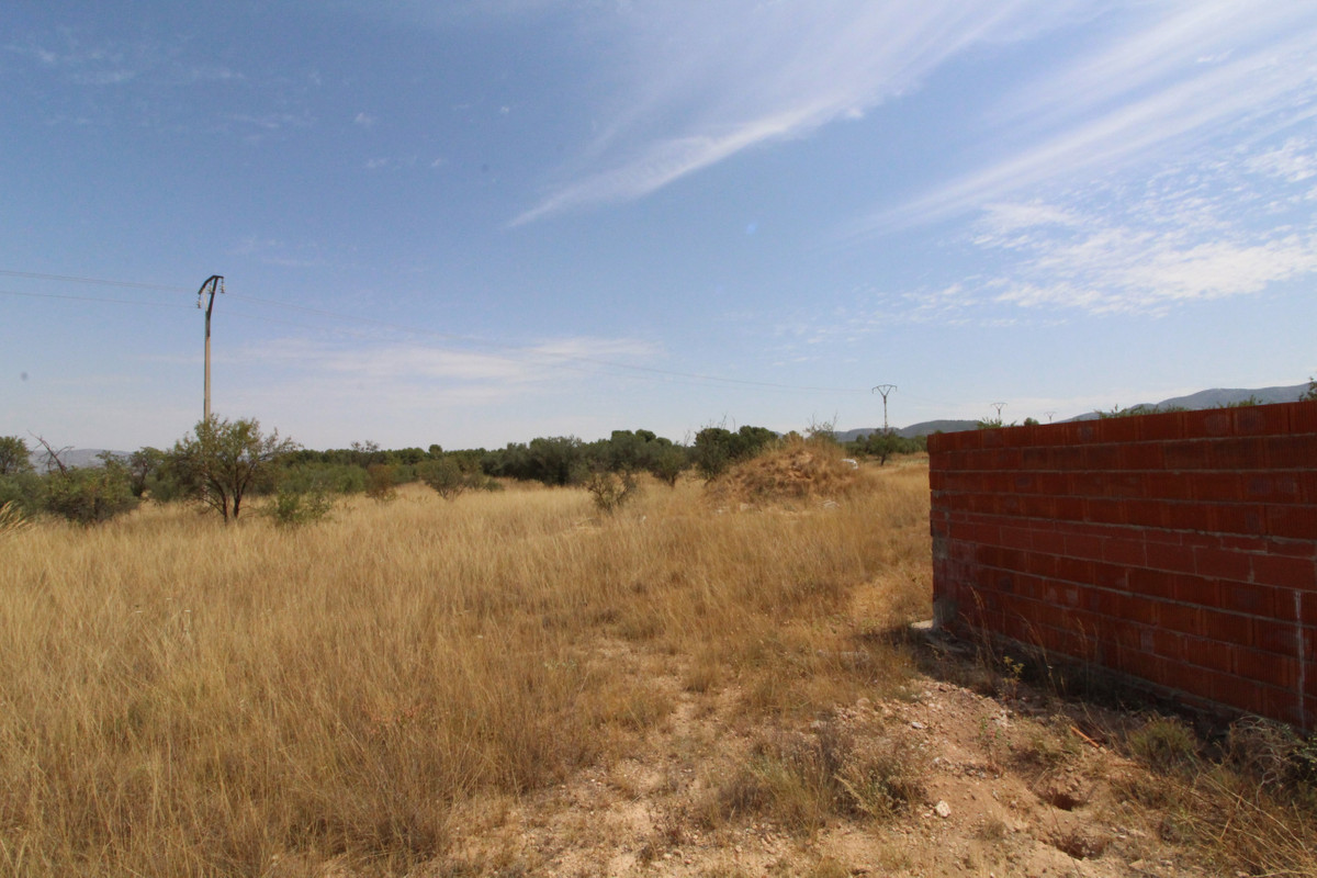 Grond te koop in Biar | 0 slaapkamers H4125856