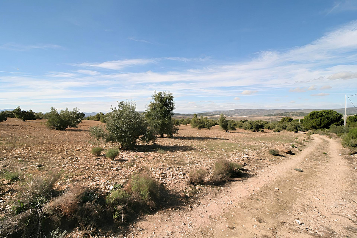 Grond te koop in Biar | 0 slaapkamers H4347298