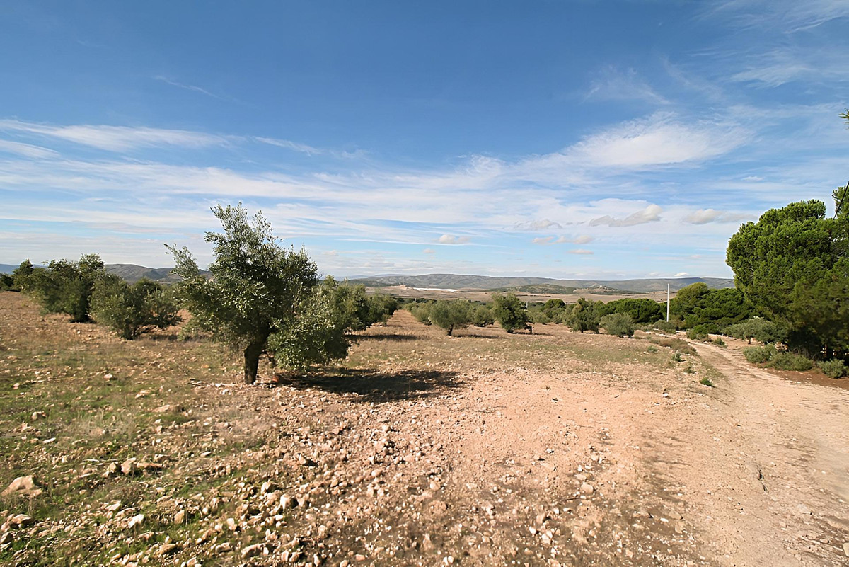 Grond te koop in Biar | 0 slaapkamers H4347298