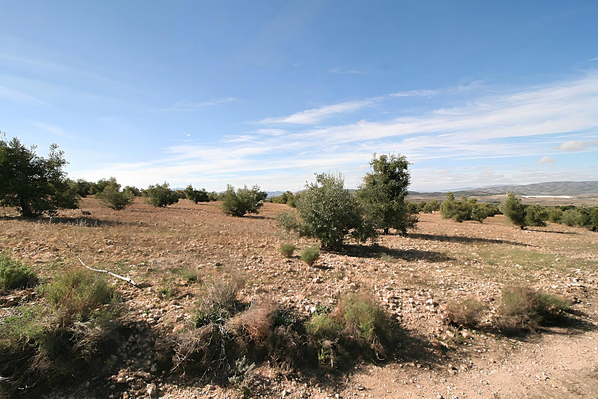 Grond te koop in Biar | 0 slaapkamers H4347298