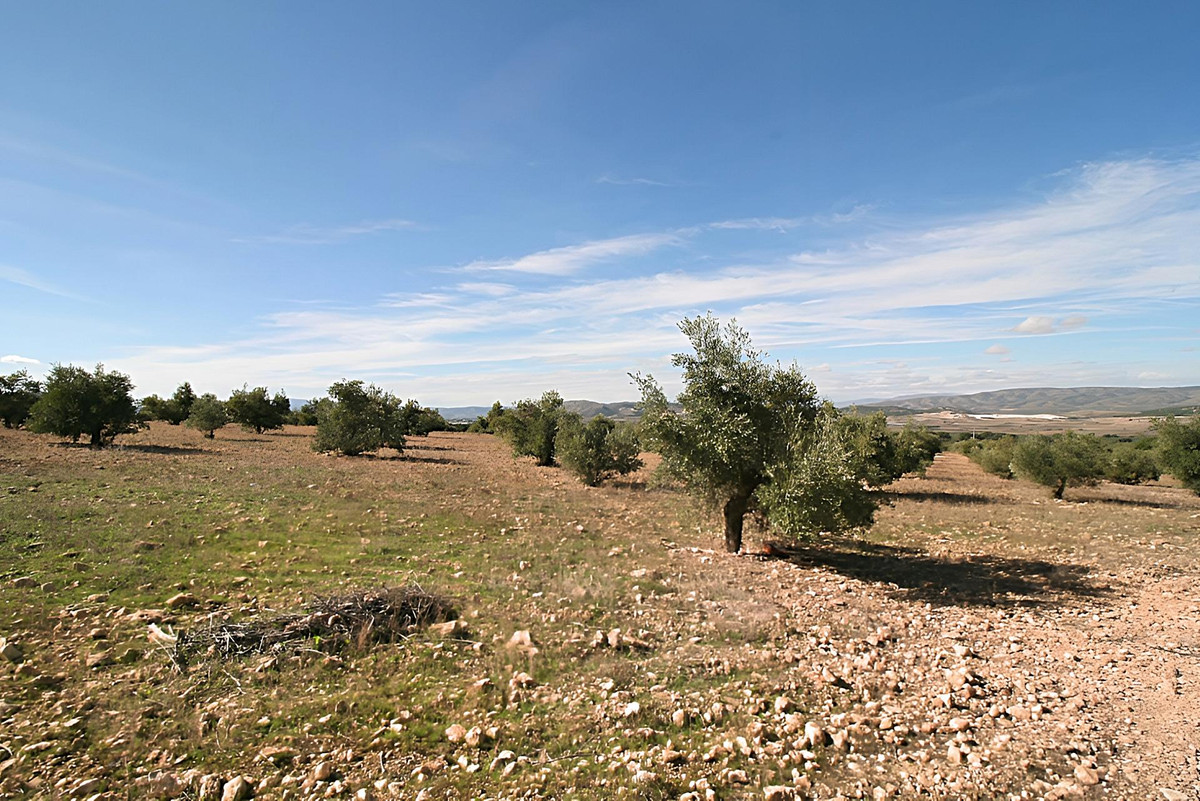 Grond te koop in Biar | 0 slaapkamers H4347298