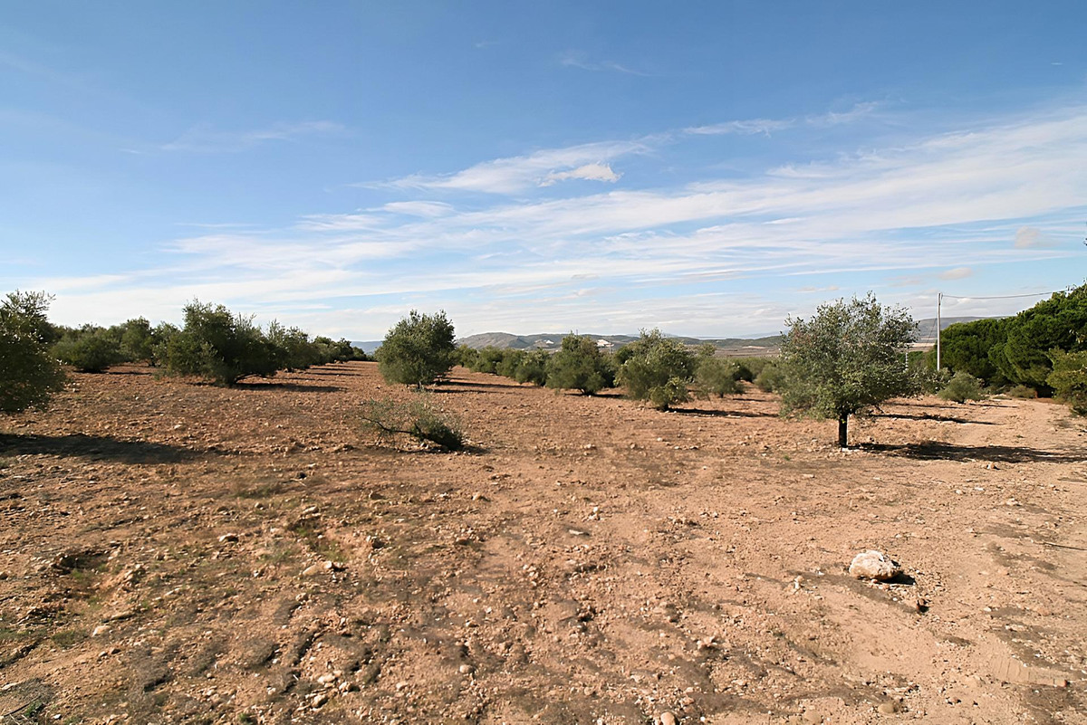 Grond te koop in Biar | 0 slaapkamers H4347298