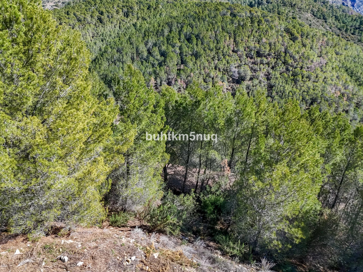 Percelen te koop in Callosa d'en Sarria | 0 slaapkamers H5420275