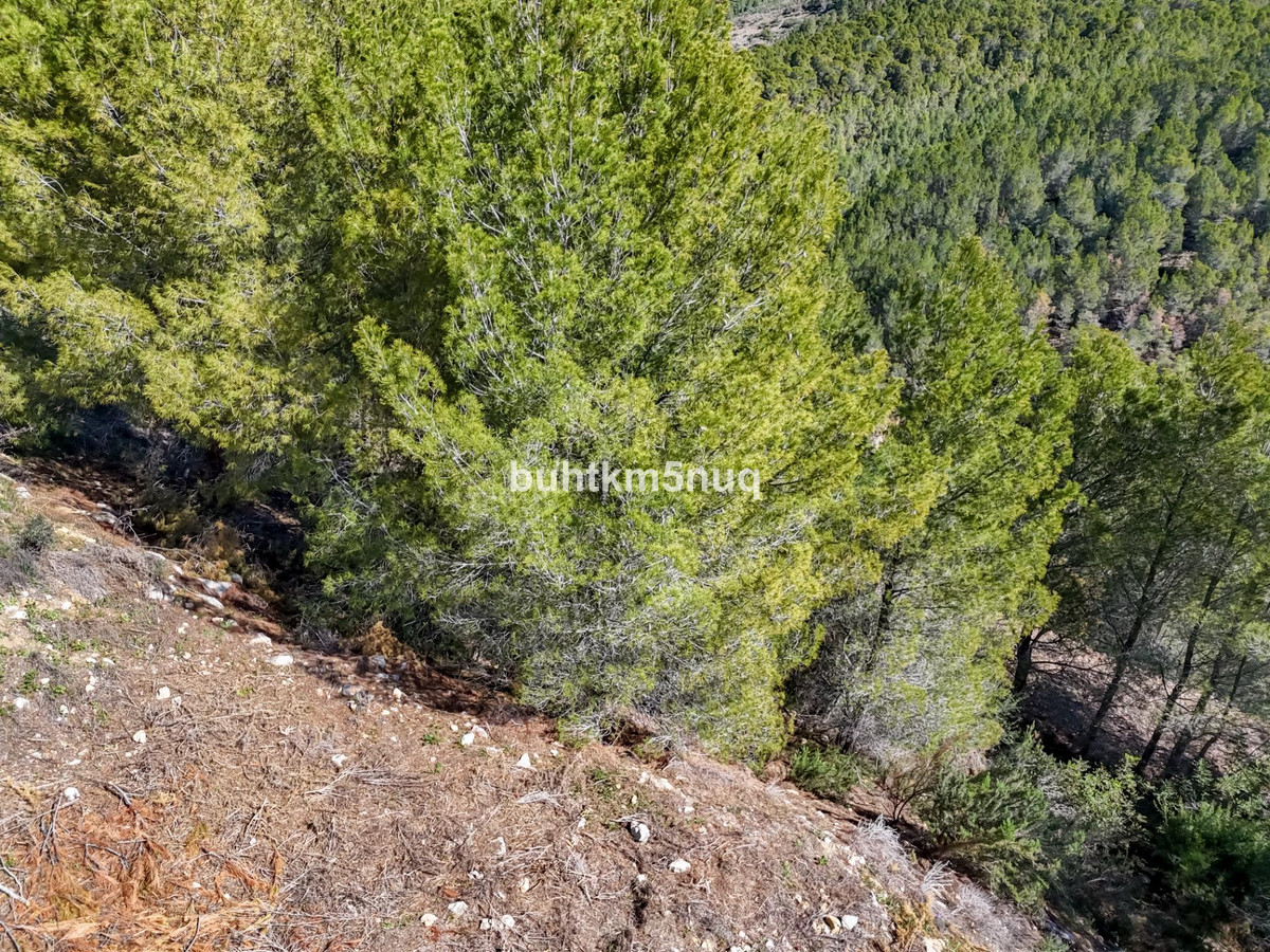 Percelen te koop in Callosa d'en Sarria | 0 slaapkamers H5420278
