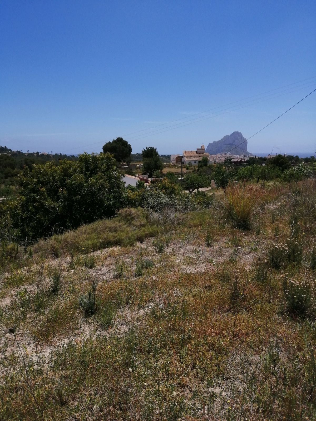 Property main view 2