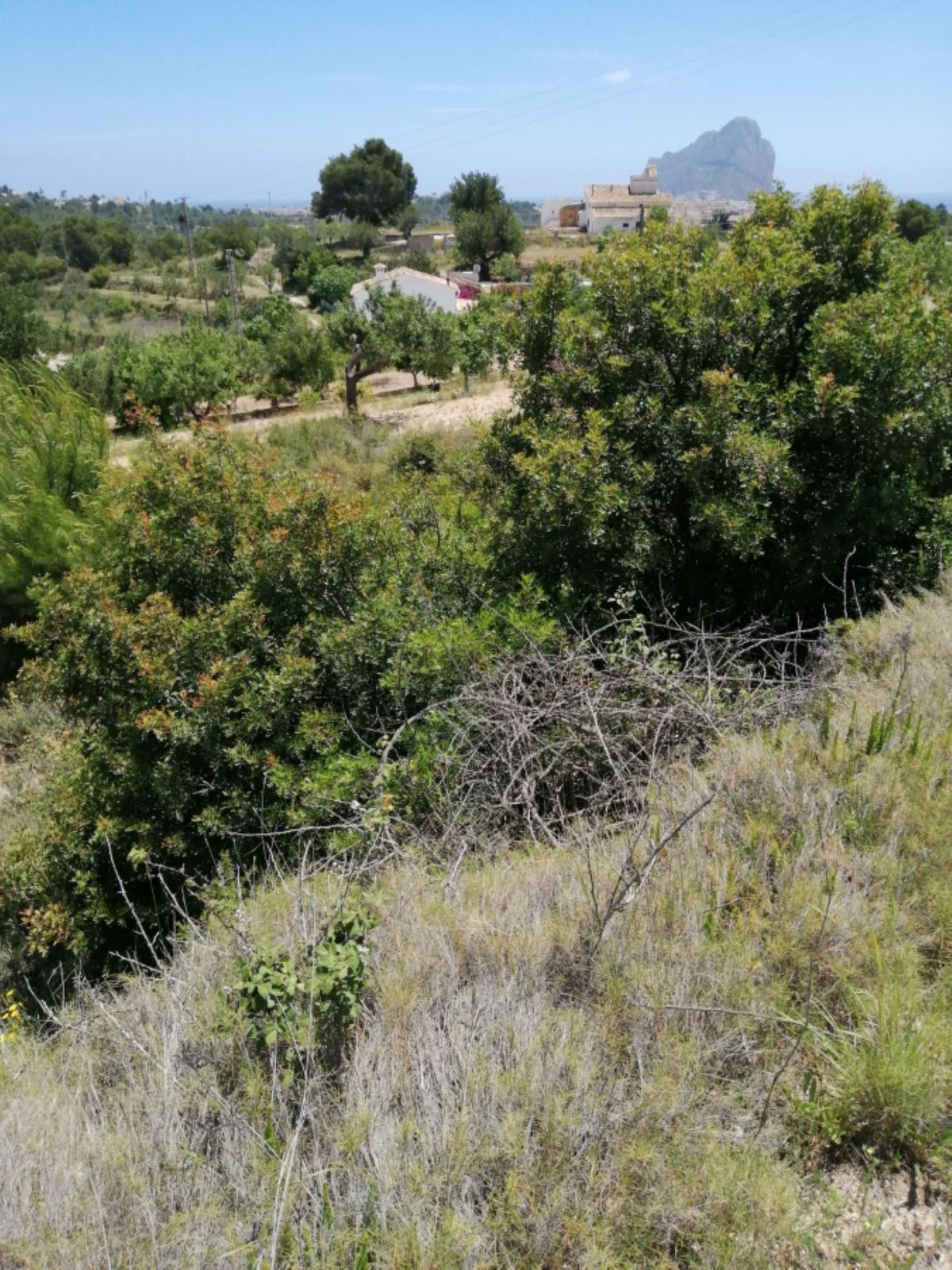 Property main view 3