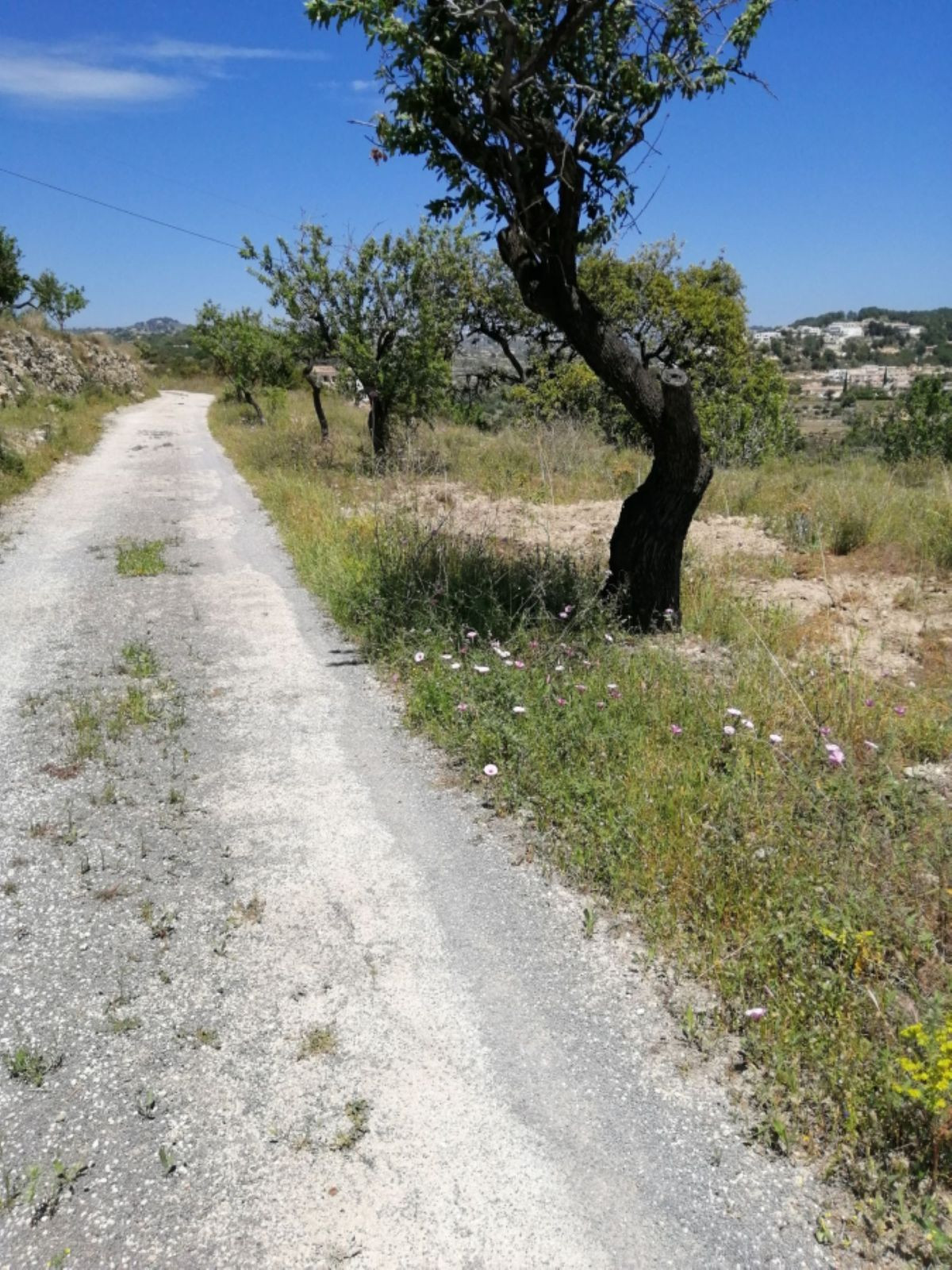 Property main view 7