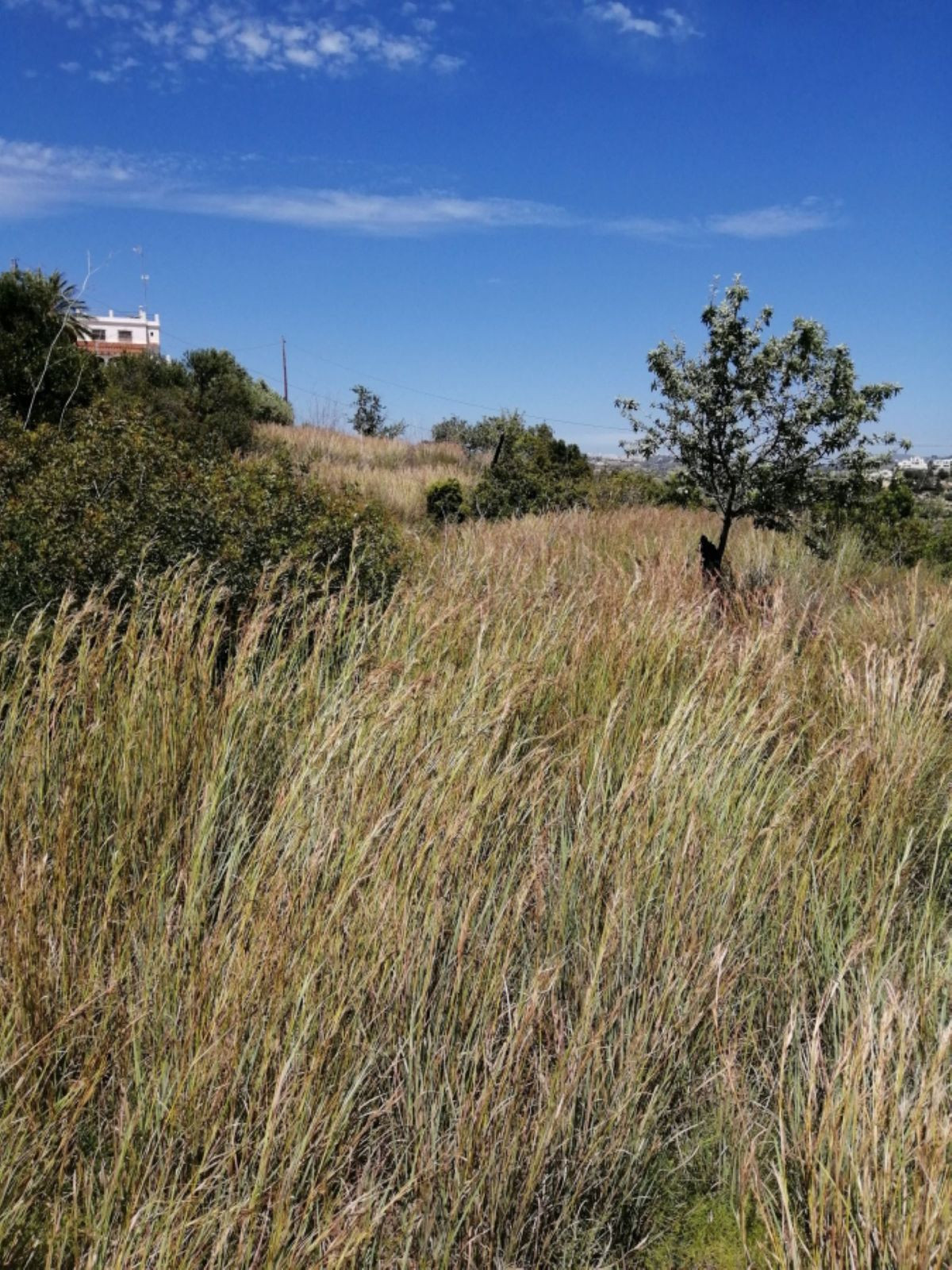 Property main view 8