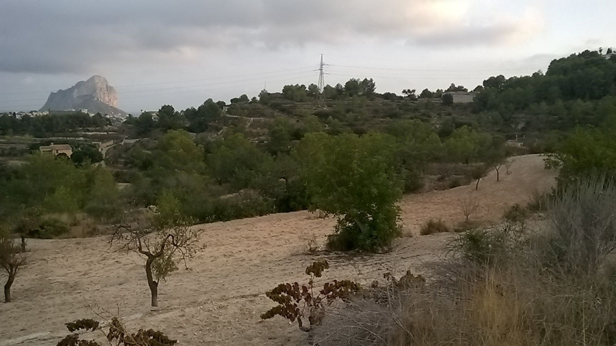 Property main view 2