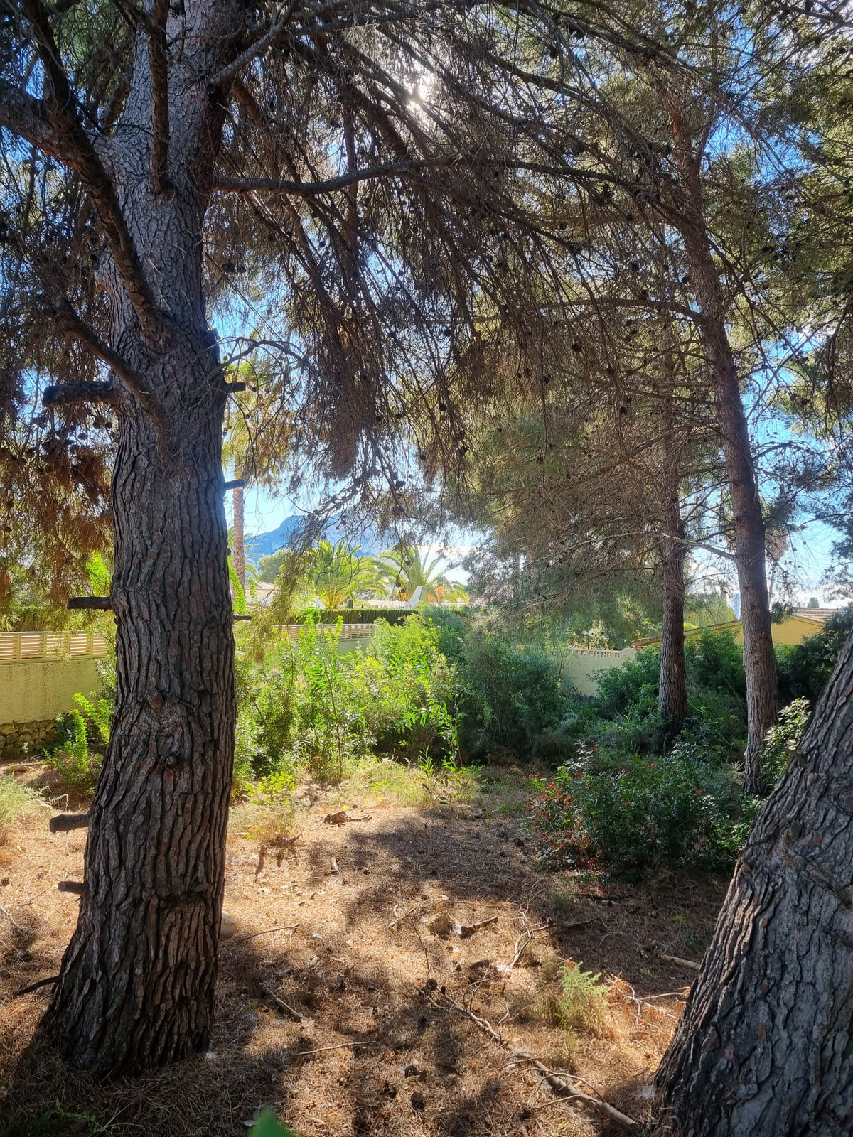 Property main view 3