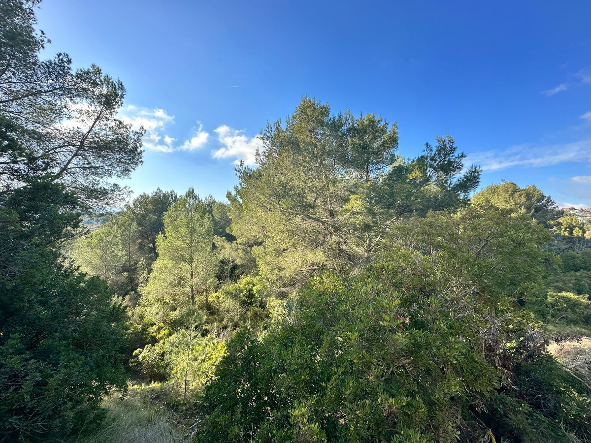 Property main view 2