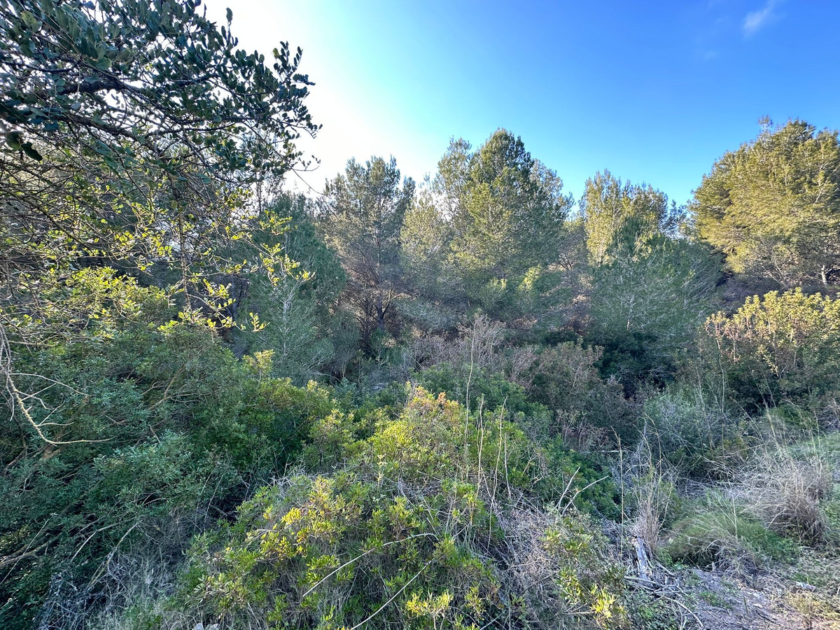 Property main view 5