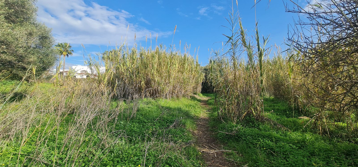 Property main view 6