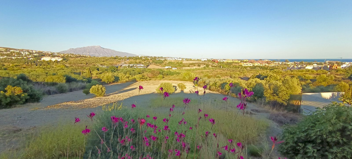 Property main view 6