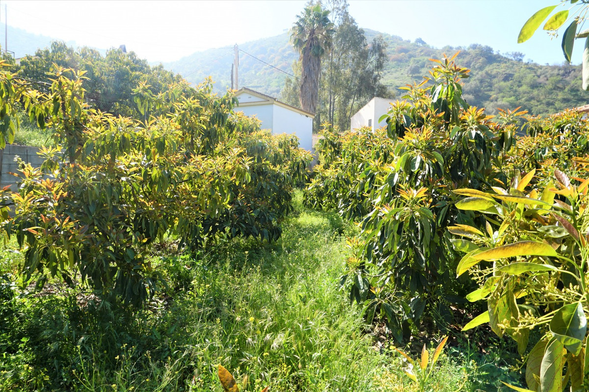 Property main view 10