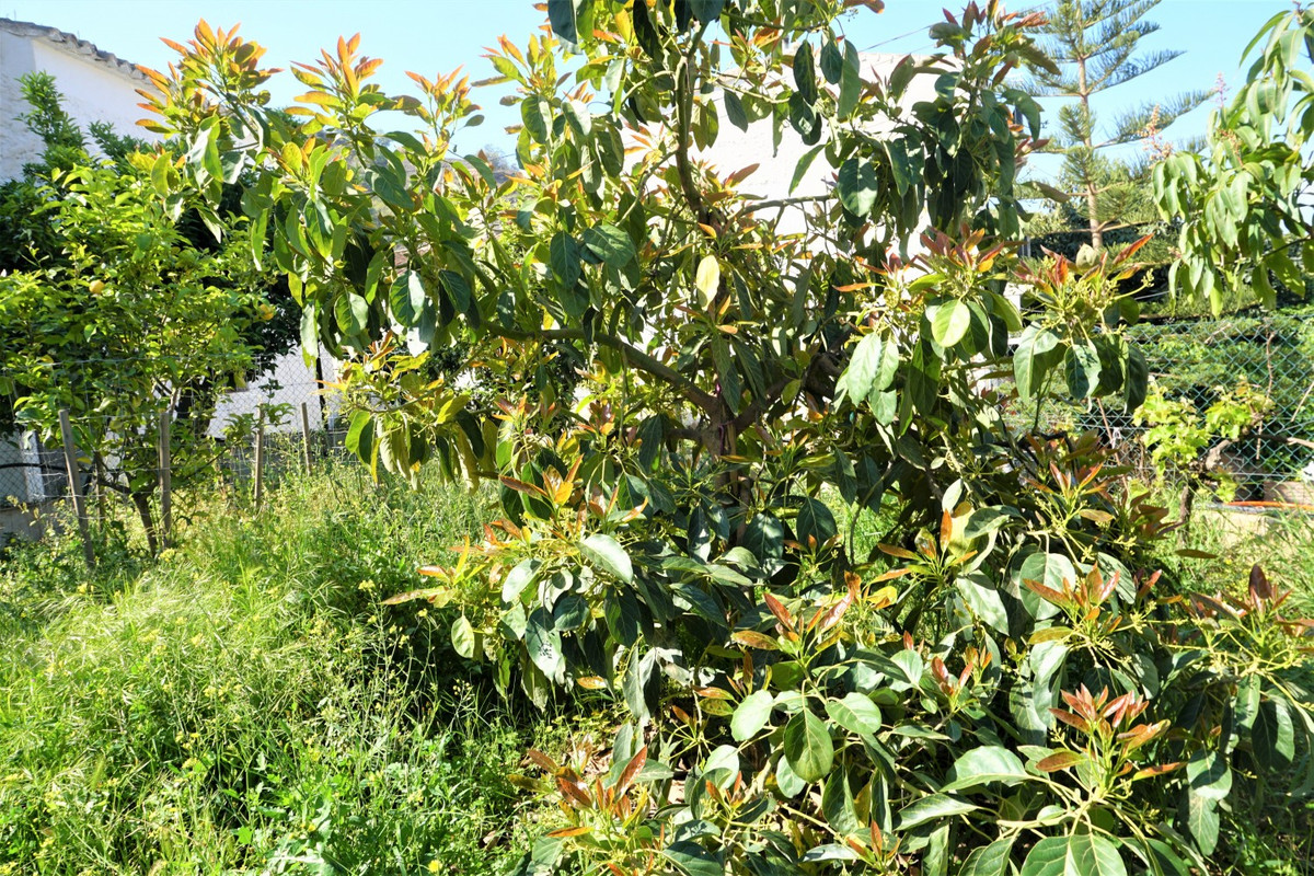 Property main view 12