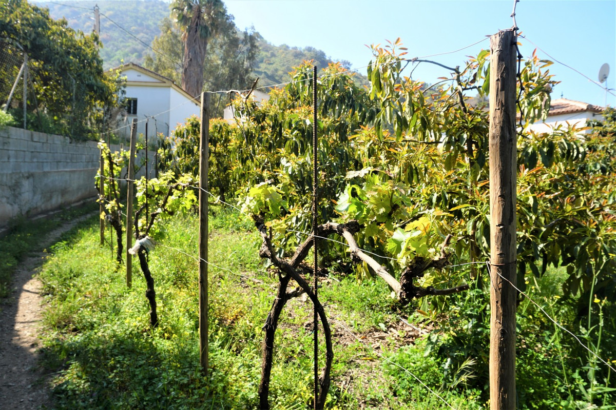 Property main view 13