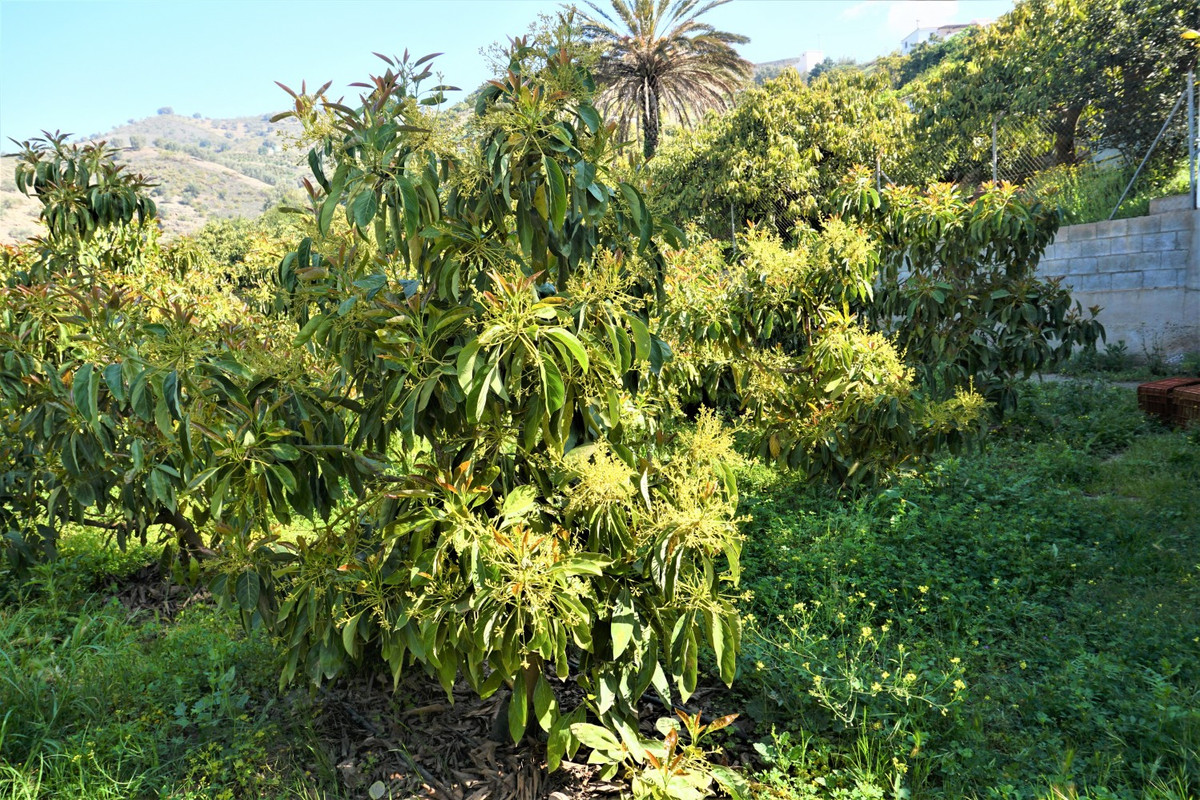 Property main view 16