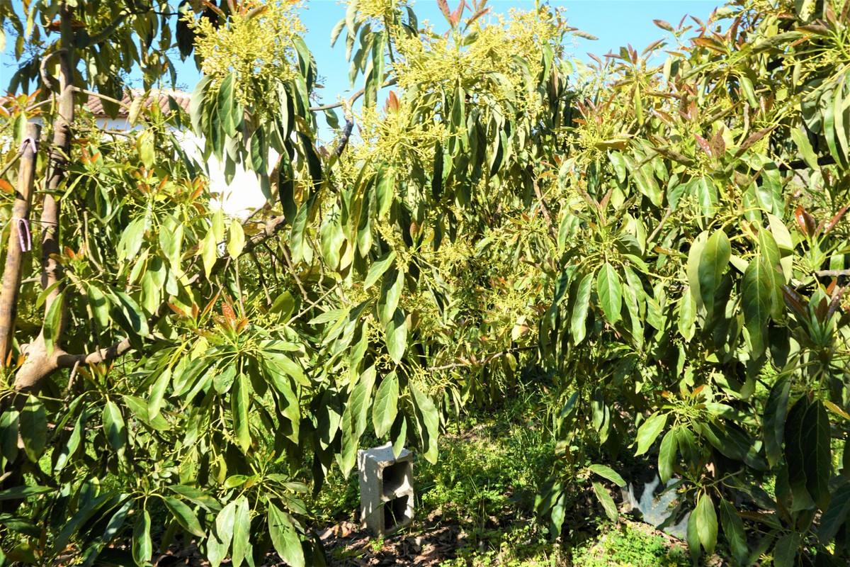 Property main view 19