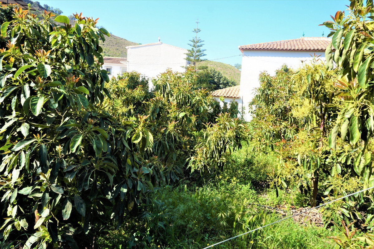 Property main view 20