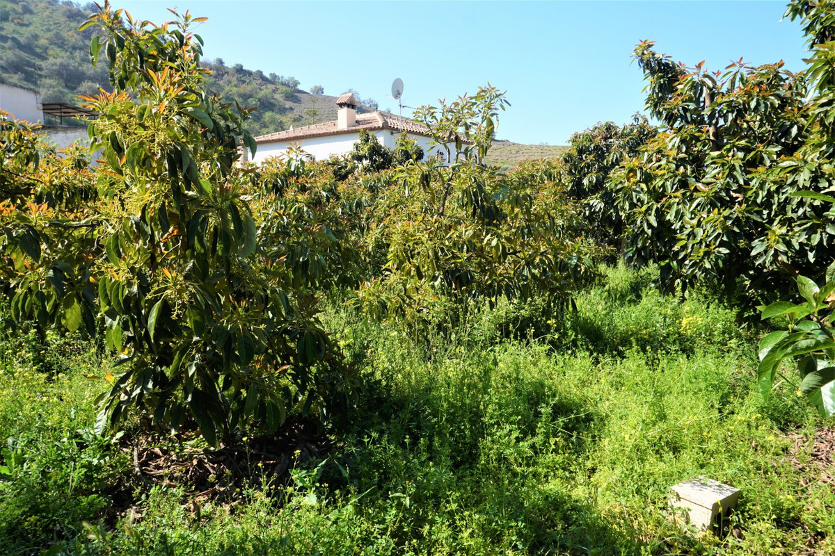 Property main view 22