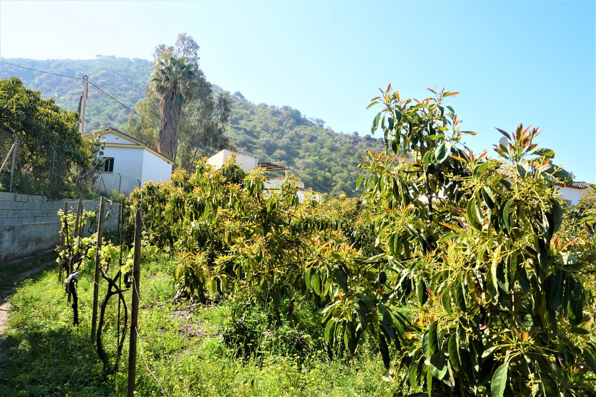 Property main view 23