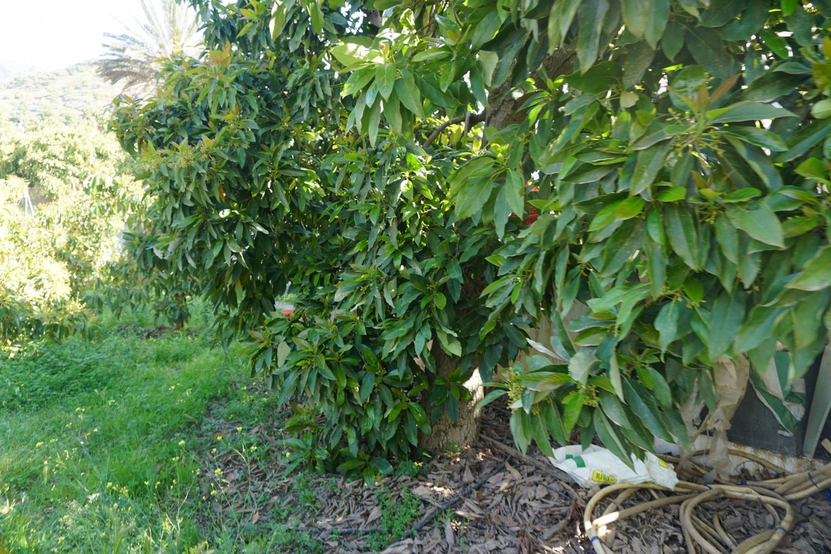 Property main view 24